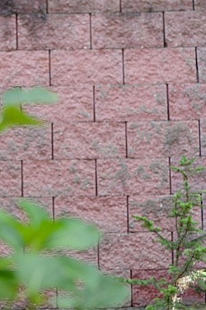 You Bet Your Ass Peach Lollypop - 07