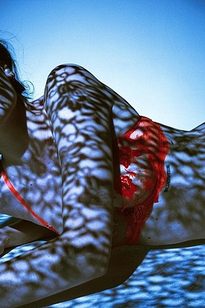 Carolina Ballesteros - Photo 11
