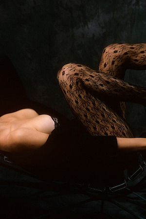 Jenilee Harrison - Photo 01