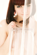 Zivity - Lilex - 31