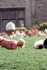 Sharon Johansen - 04