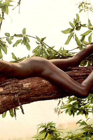 Veruschka nude photo 08 - Veruschka Strips In A Wheat Field And Turns To Tiger Body Paint