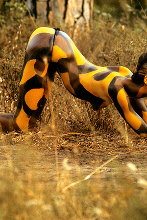 Veruschka Strips In A Wheat Field And Turns To Tiger Body Paint - Photo 09