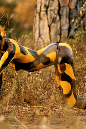 Veruschka Strips In A Wheat Field And Turns To Tiger Body Paint - Playboy nude pic 10