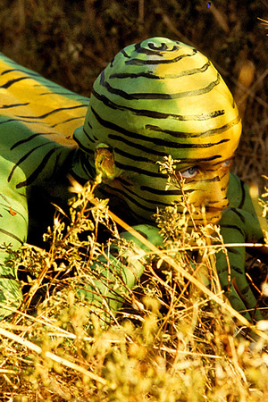 Veruschka Strips In A Wheat Field And Turns To Tiger Body Paint - Playboy nude pic 13