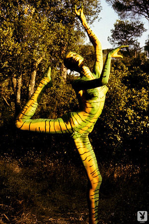 Veruschka nude photo 14 - Veruschka Strips In A Wheat Field And Turns To Tiger Body Paint