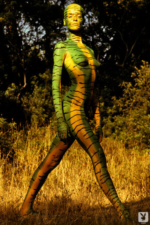 Veruschka Strips In A Wheat Field And Turns To Tiger Body Paint - Photo 15