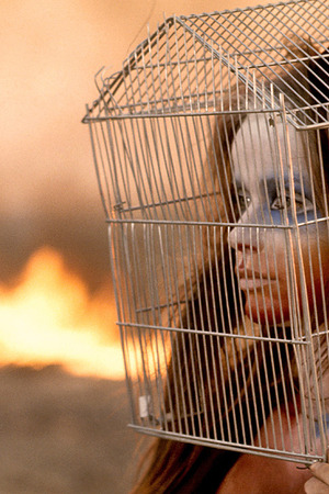 Veruschka Strips In A Wheat Field And Turns To Tiger Body Paint - Photo 18