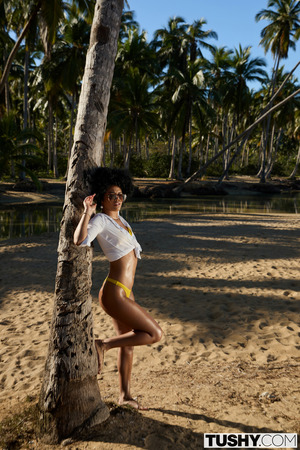 Selva Lapiedra Yellow Bikini To Anal Hardcore By The Pool - Photo 04