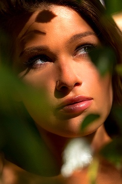 Abby Cross